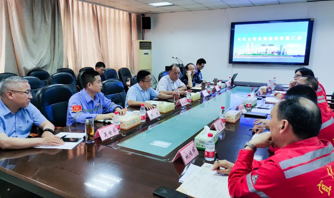 王大真一行到股份公司、化機公司現(xiàn)場辦公