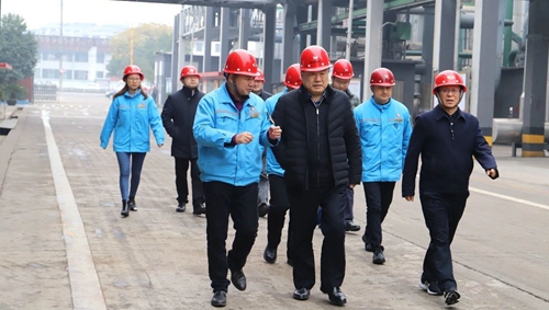 袁衛東到股份、楚星和新項目現場調研(圖1)