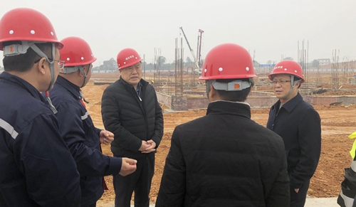 袁衛東到股份、楚星和新項目現場調研(圖4)