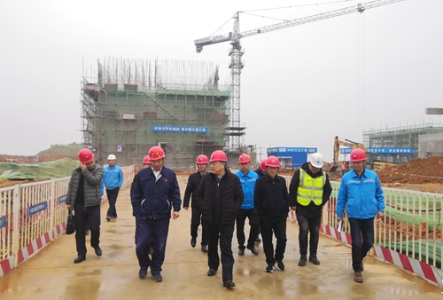 袁衛東到股份、楚星和新項目現場調研(圖3)