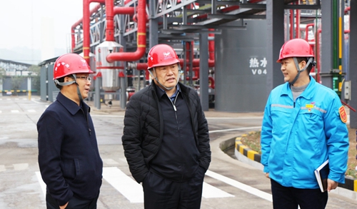 袁衛東到股份、楚星和新項目現場調研(圖5)