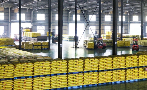 用心管指標 用力挖效益(圖3) 用心管指標 用力挖效益(圖3)