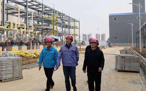 王大真到松滋肥業、楚星公司、新材料公司和股份公司現場調研(圖3)