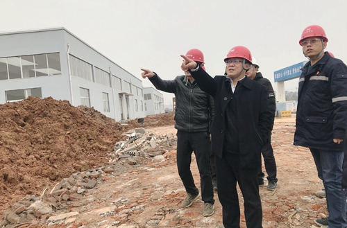 王大真到新材料公司、TPO項(xiàng)目現(xiàn)場(chǎng)和股份公司檢查工作(圖2)