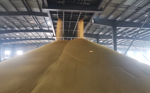 新年新氣象！楚星公司黃色磷酸二銨產(chǎn)品成功下線(xiàn)(圖1)