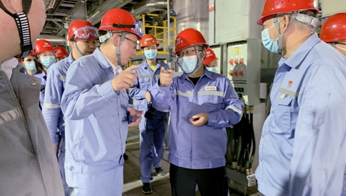 王大真一行到新疆宜化調(diào)研指導(圖3)