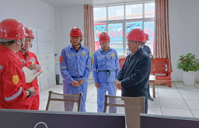 王大真到松滋肥業、楚星公司和股份公司現場檢查安全生產工作(圖3)