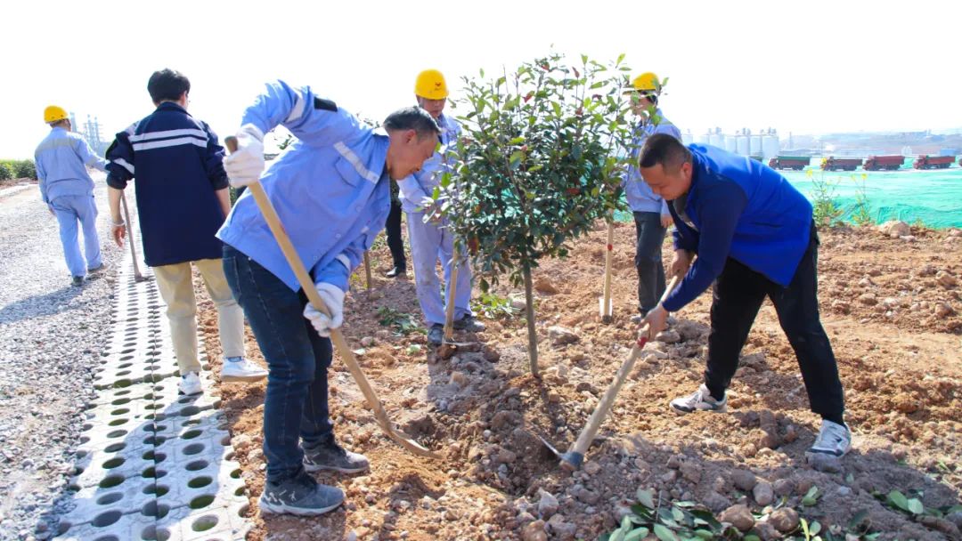 “植”此青綠共“樹”未來!集團各公司開展植樹活動(圖14) “植”此青綠共“樹”未來!集團各公司開展植樹活動(圖14)