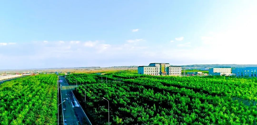 新疆宜化礦業(yè):鉚足干勁奮戰(zhàn)“開門紅”(圖5) 新疆宜化礦業(yè):鉚足干勁奮戰(zhàn)“開門紅”(圖5)