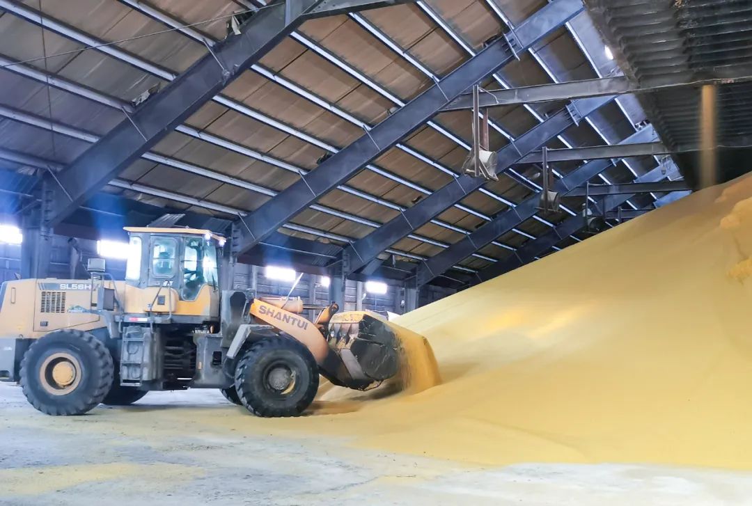 股份公司磷銨分廠：優化生產提質量，深挖潛力創效益(圖3)