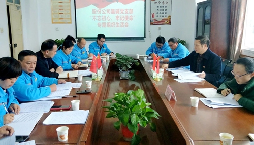 向宇飛列席指導(dǎo)股份公司氯堿黨支部“不忘初心、牢記使命”專(zhuān)題組織生活會(huì)