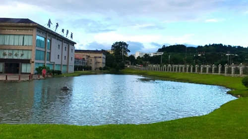 抓好產品質量，我們是認真的！金沙酒業獲得多項榮譽