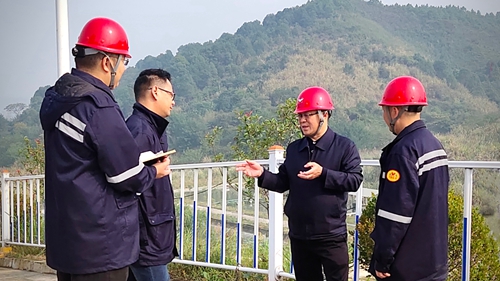 王大真到松滋肥業(yè)、楚星公司、新材料公司和股份公司現(xiàn)場調(diào)研