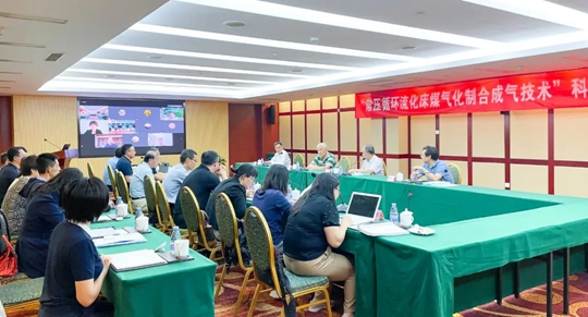 通過鑒定！新疆宜化一項技術(shù)達(dá)國際領(lǐng)先水平！